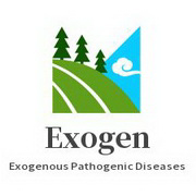 Consulting For Exogenous Pathogenic Diseases of ShangHanLun